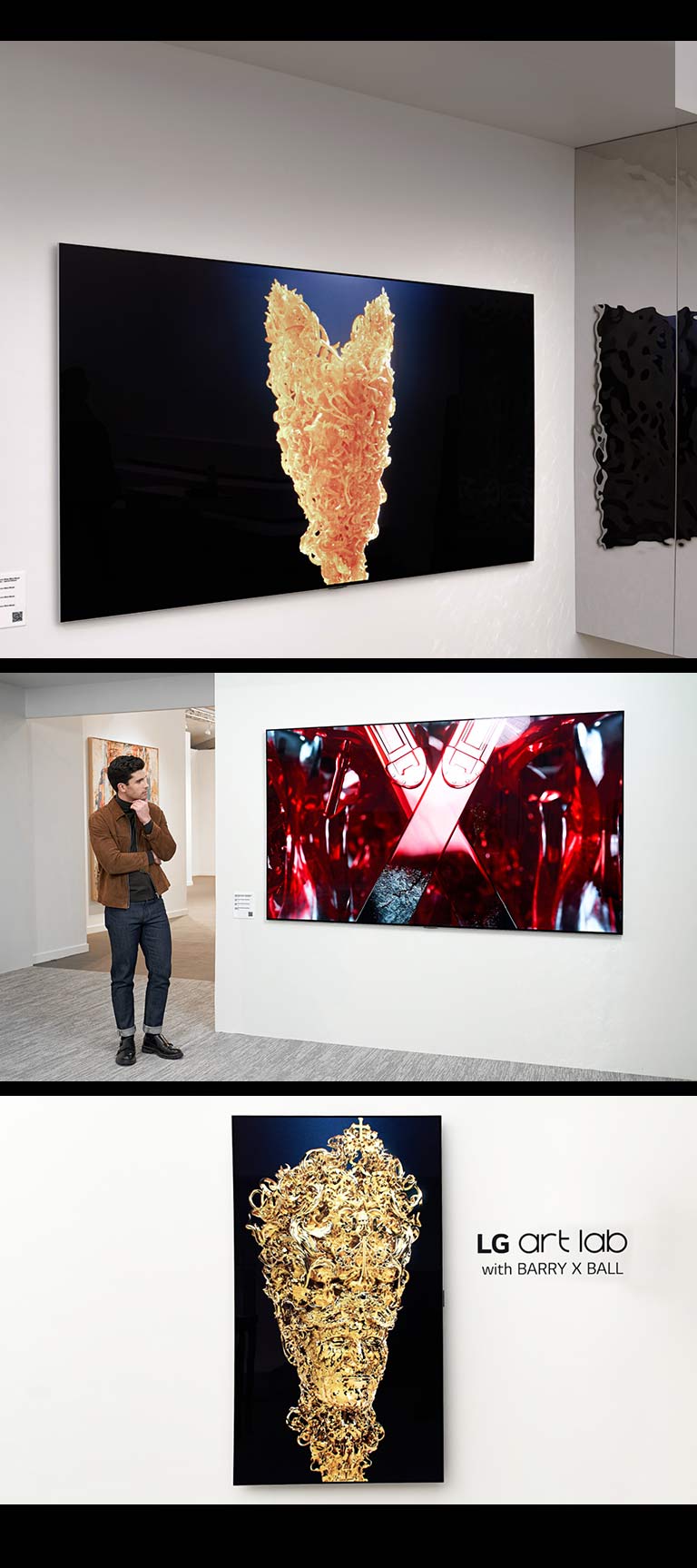 Gornja slika prikazuje LG OLED u beloj prostoriji sa slikom zlatne skulpture na ekranu. Sa strane je fizi?ka srebrna skulptura sa jedinstvenom teksturiranom ?arom koja odra?ava ono ?to se reprodukuje na TV-u. 	  Donja desna slika prikazuje LG OLED vertikalno postavljen na zidu sa znatnom skulpturom nalik osobi. Izraz ?LG art lab with Barry X Ball” nalazi se preko slike na desnoj strani TV-a. Donja leva slika prikazuje mu?karca u umetni?koj galeriji koji gleda u crveno-crno digitalno umetni?ko delo u vidu skulpture na LG OLED TV-u.