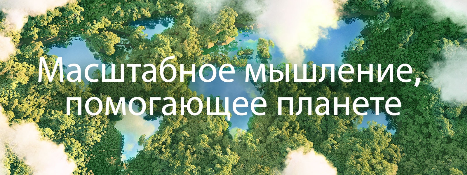 Вид на зеленый лес с высоты птичьего полета с облаками