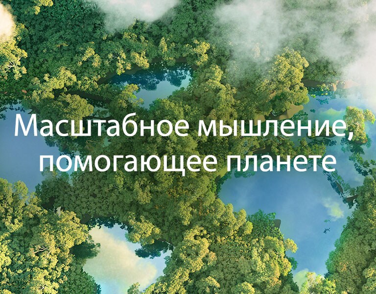 Вид на зеленый лес с высоты птичьего полета с облаками