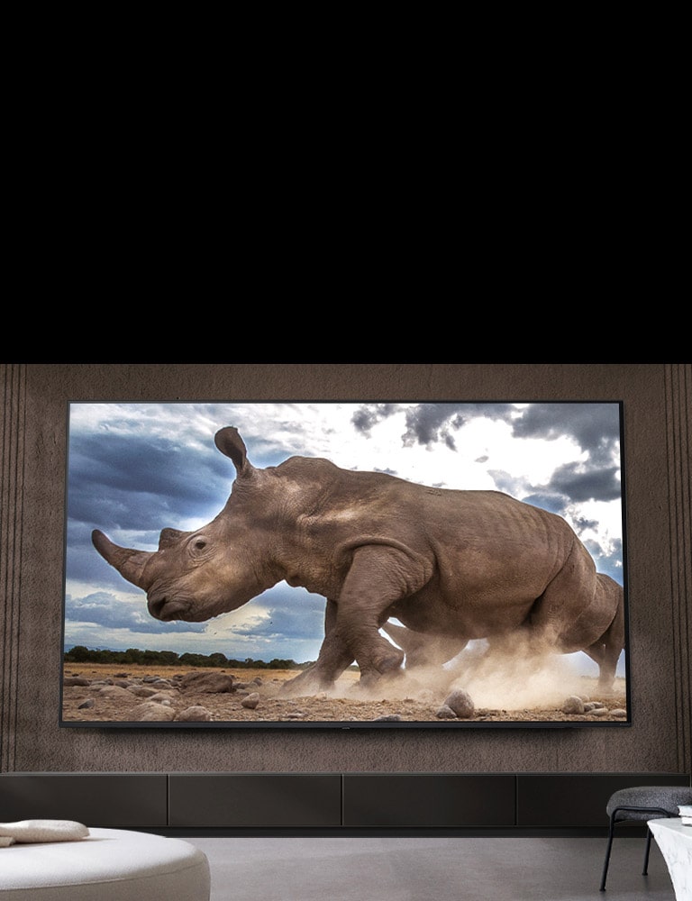 Na ultra ve?kom televízore LG na hnedej stene obyva?ky obklopenej modulárnym nábytkom v krémovej farbe sa zobrazuje nosoro?ec v prostredí safari.