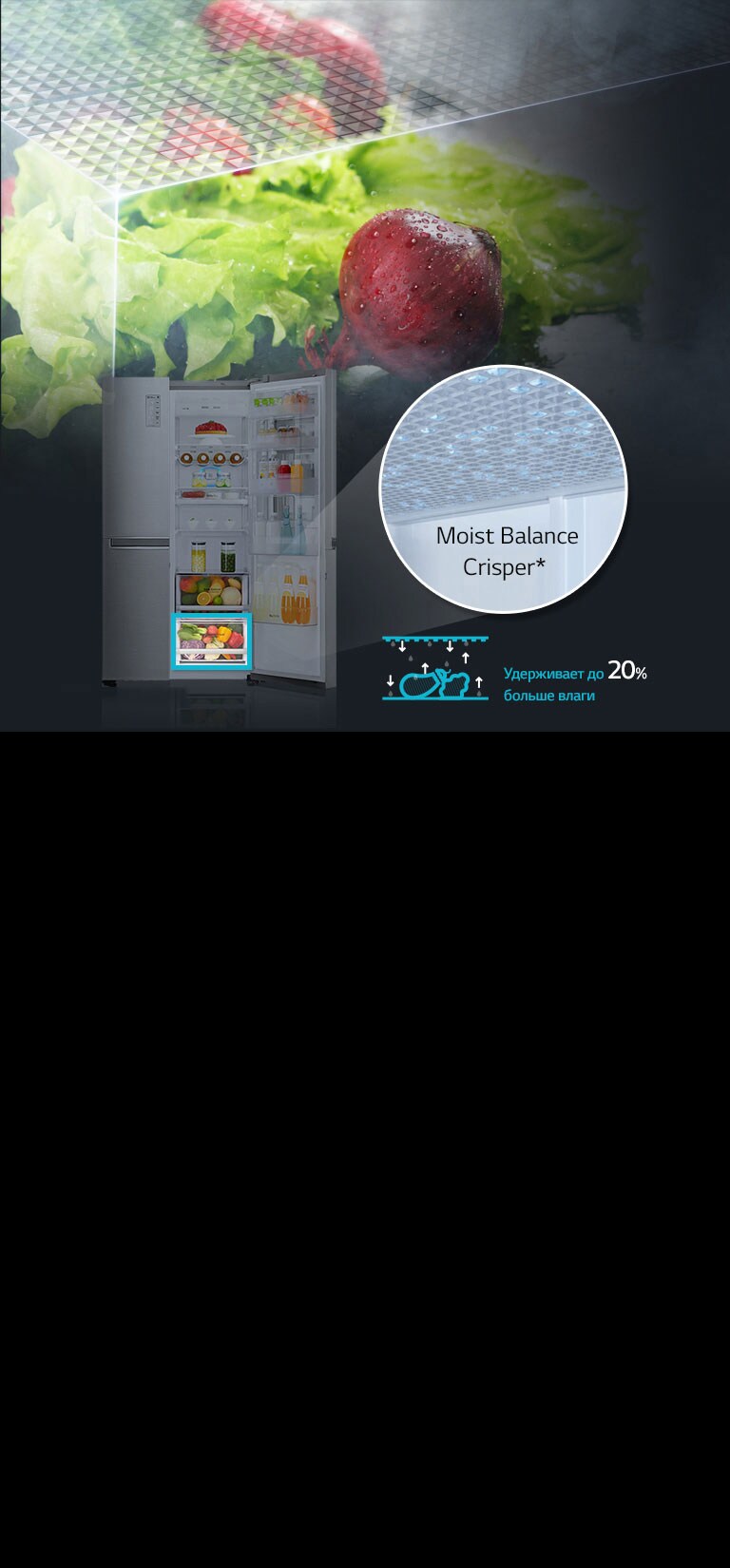 Moist Balance Crisper2
