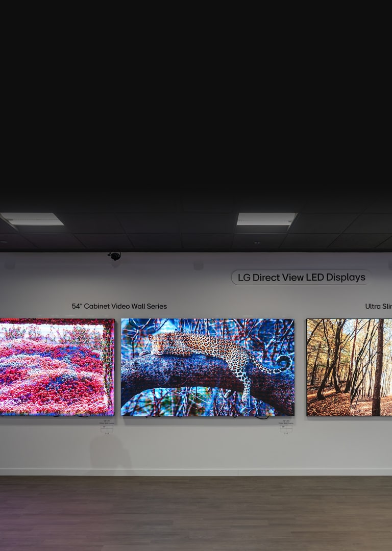 Direct View LED