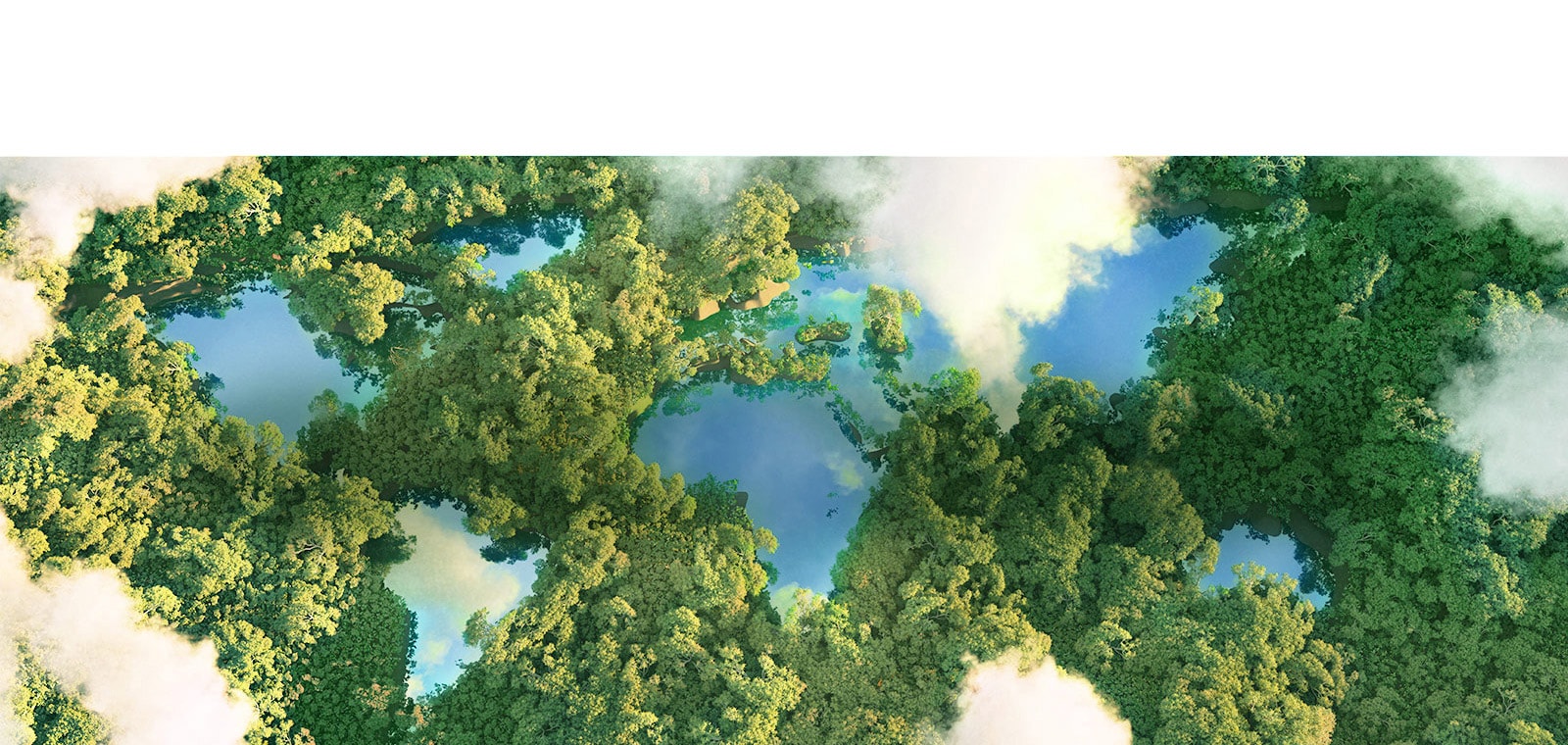Aerial view of trees and water 