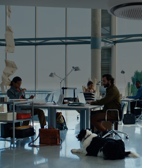 In a spacious office within a building with floor-to-ceiling glass walls, people are seated at office desks, and LG system air conditioners and air purifiers are visible.