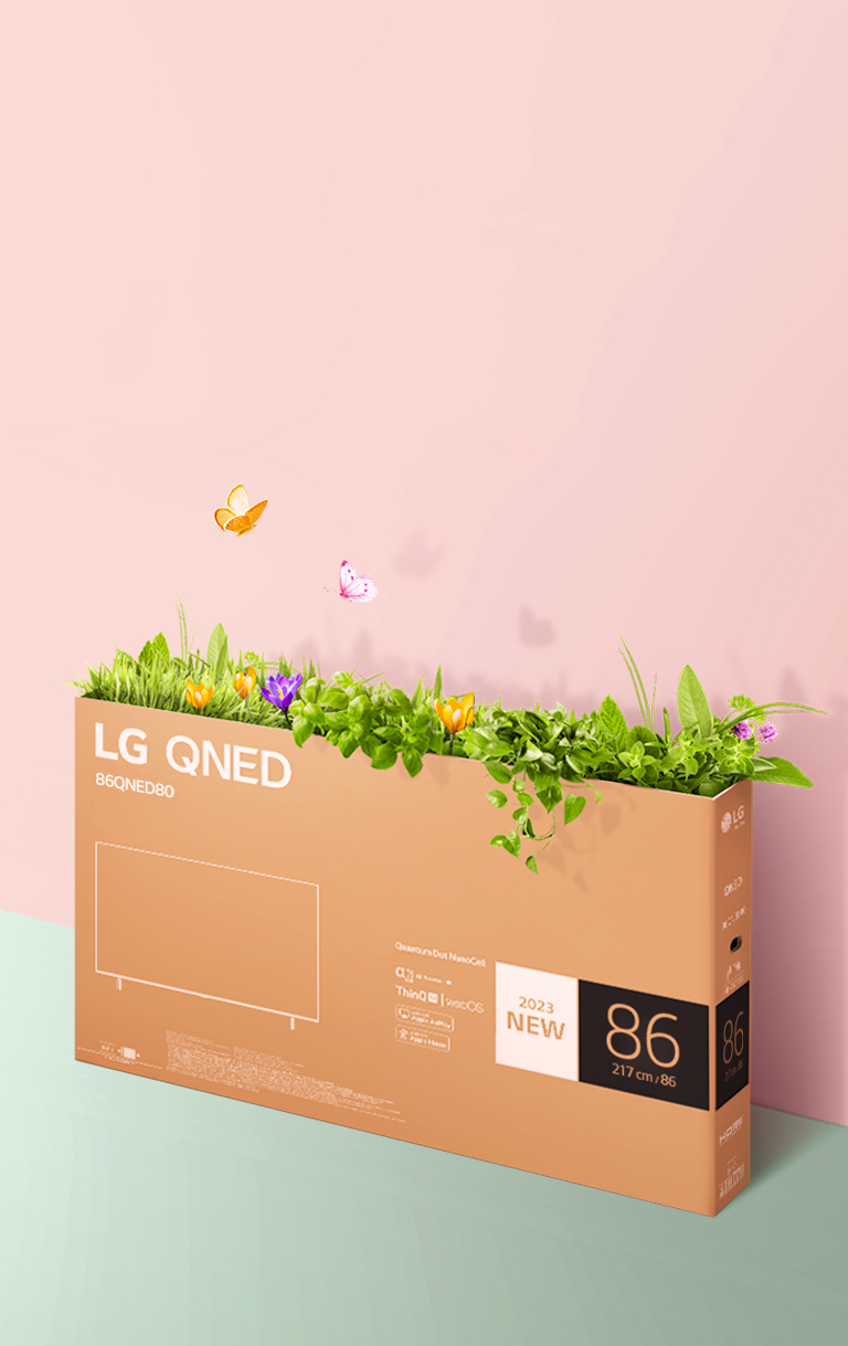 Упаковочная коробка QNED расположена на розовом и зеленом фоне, внутри нее растет трава и вылетают бабочки. 