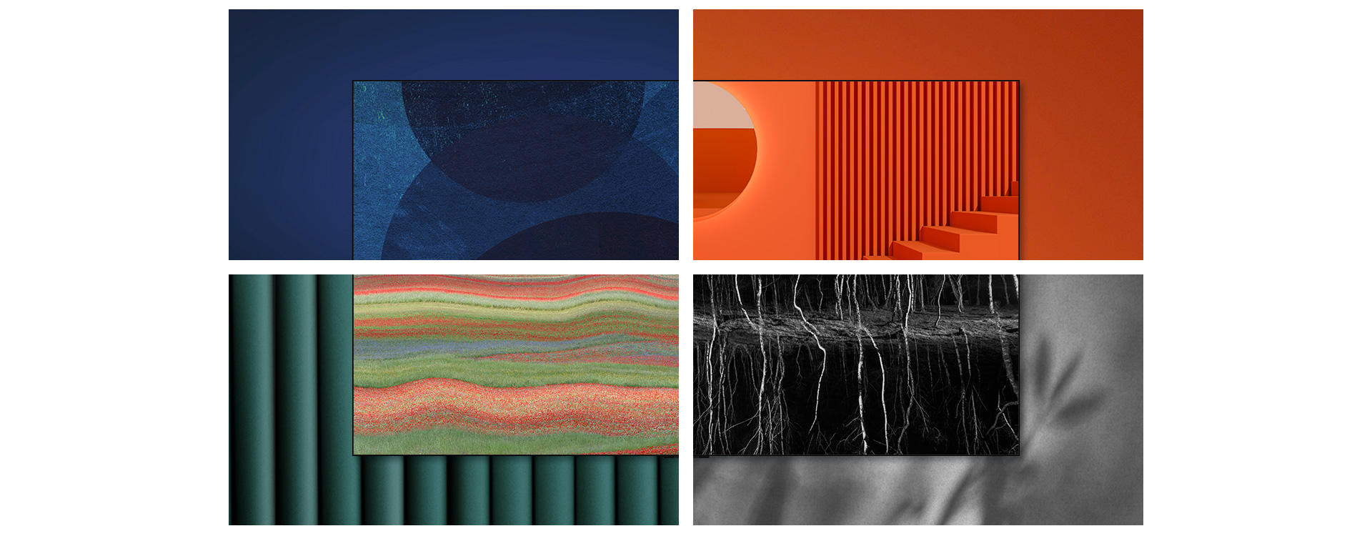 En el televisor LG OLED se muestra una obra de arte y luego se divide en cuartos, cada uno mostrando una obra de arte diferente con una pared de fondo de diferente color.